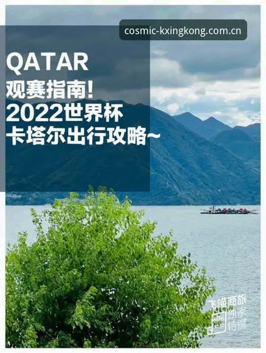 世界杯观赛受阻？签证困境下的实用出行指南